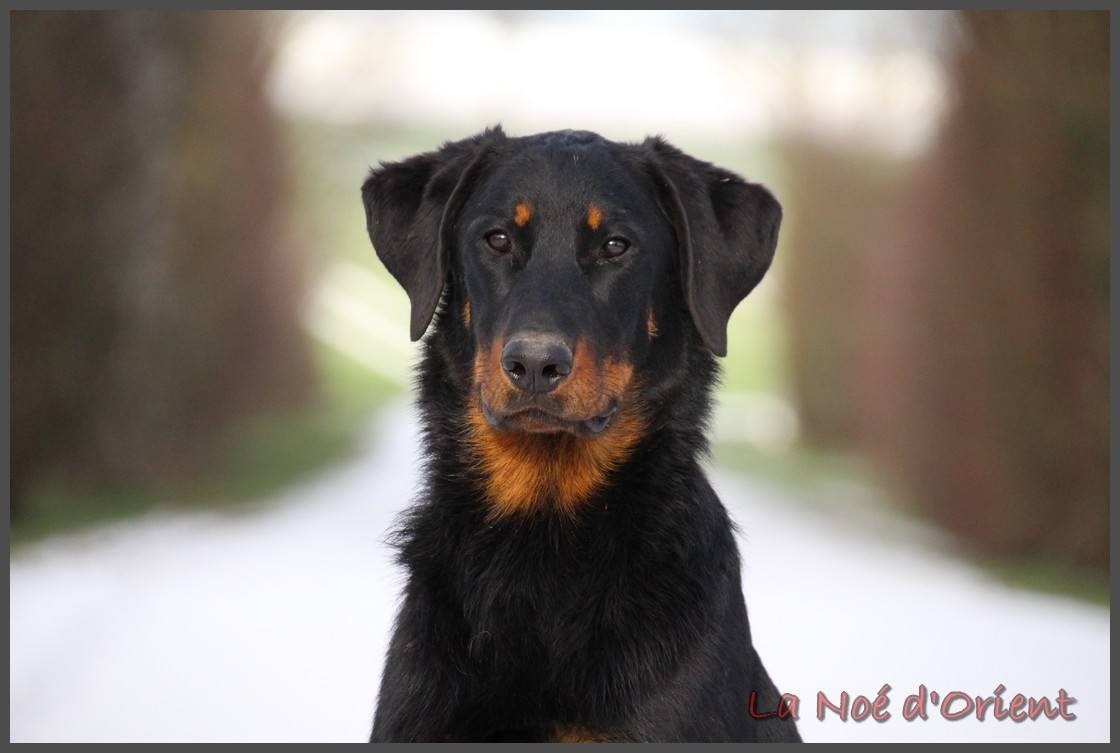 Apéroooooo de la Noé d'Orient