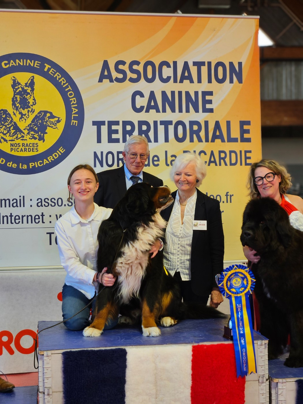 Résultats d'exposition