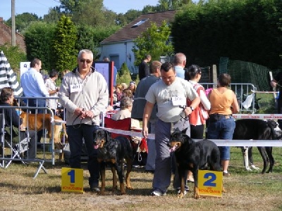 de la Noé d'Orient - Résultats d'expo...
