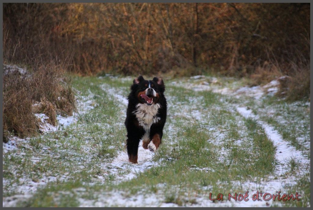 Meilleurs voeux 2026 !