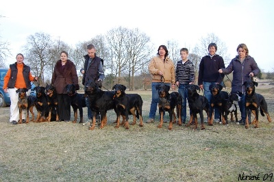 de la Noé d'Orient - Résultats de la Journée beauceronne de Cergy ....